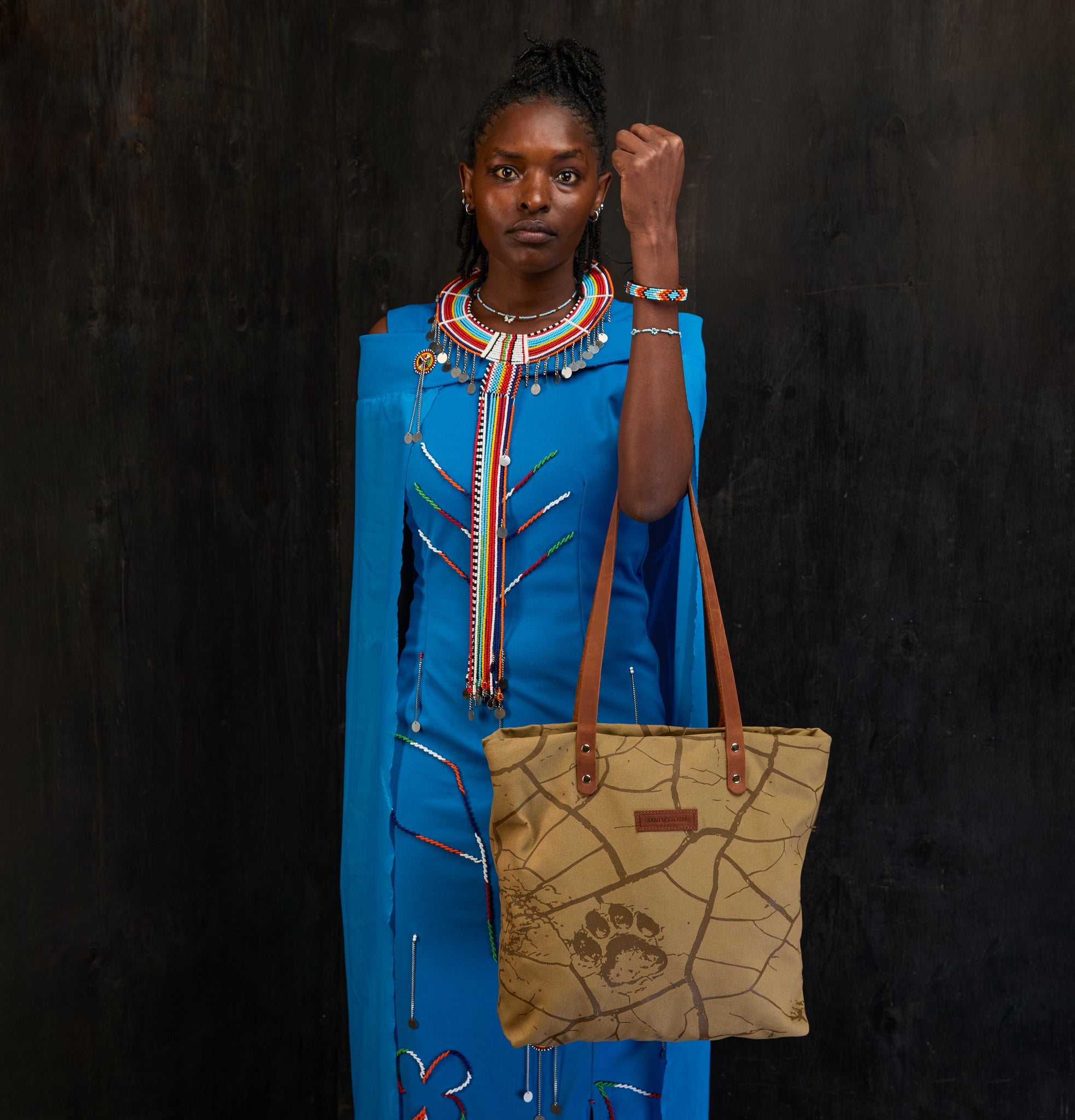 Dorothy tote x Lion Guardian (Journey)