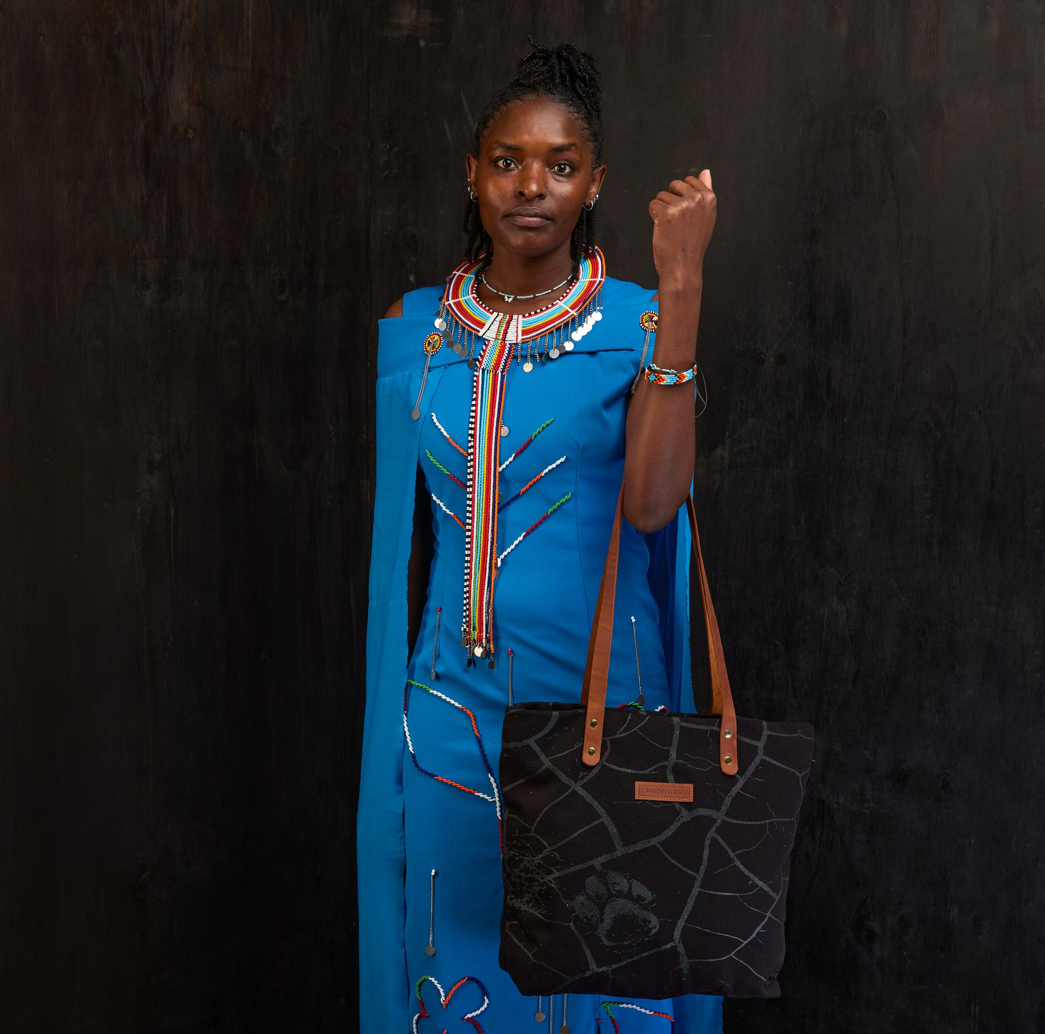 Dorothy tote x Lion Guardian (Journey)