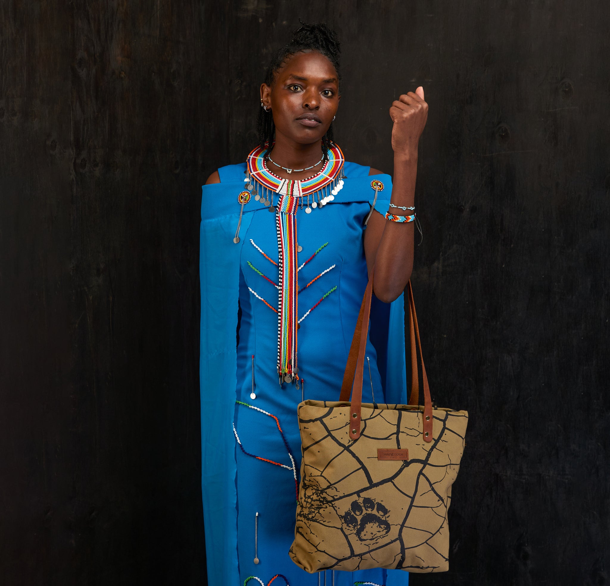 Dorothy tote x Lion Guardian (Journey)