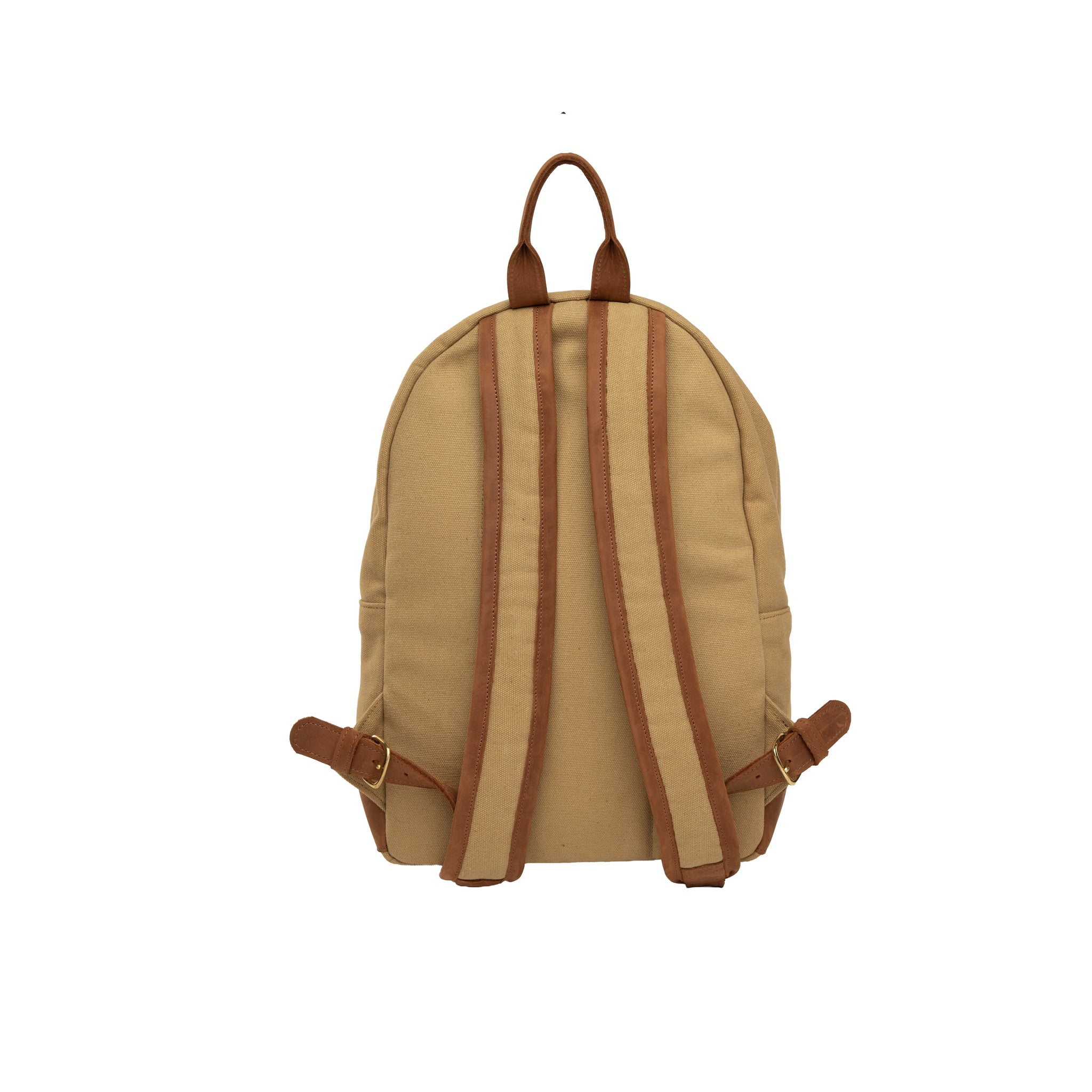 Canvas Hillary Backpack x Lion Guardian