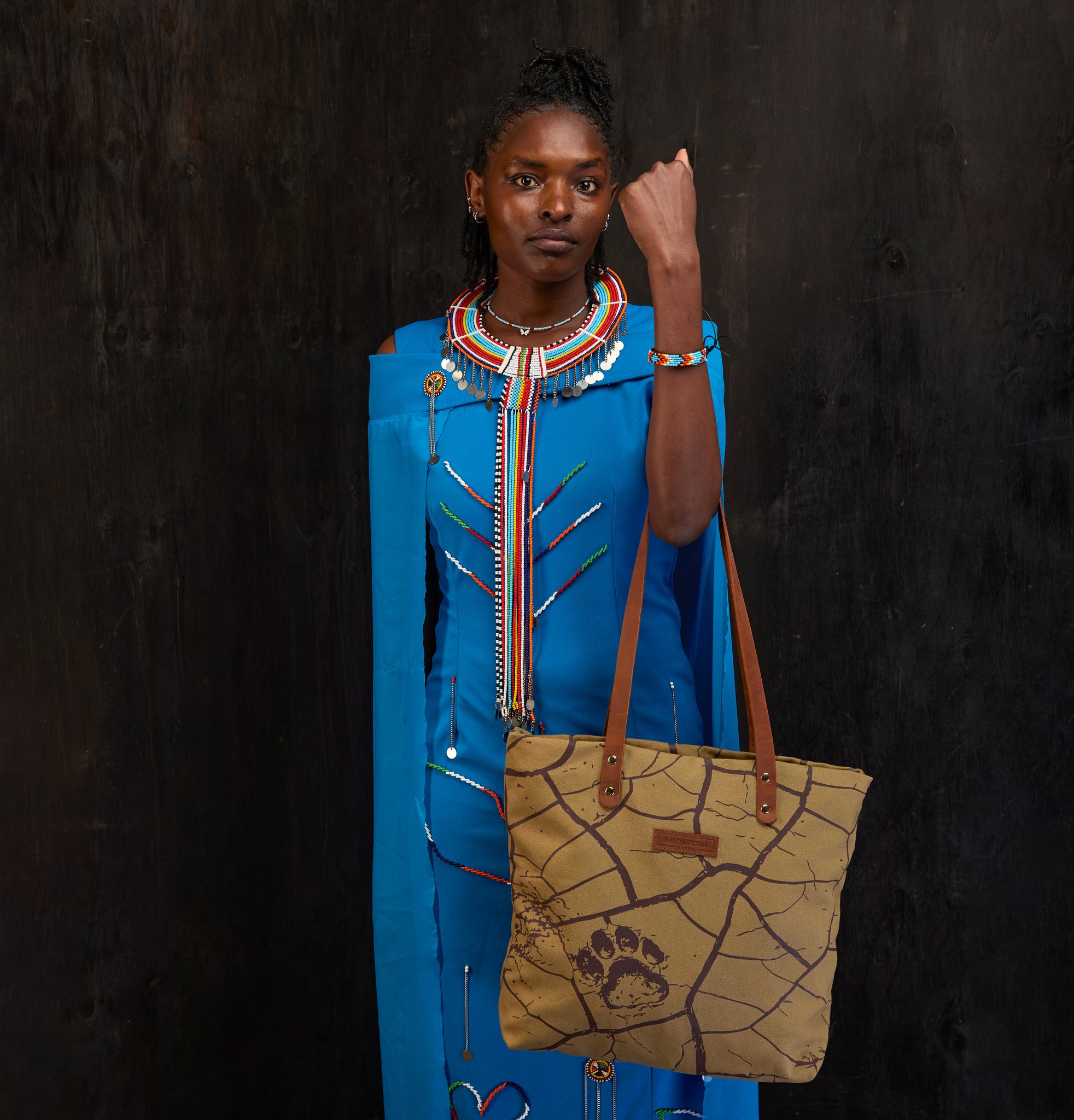 Dorothy tote x Lion Guardian (Journey)
