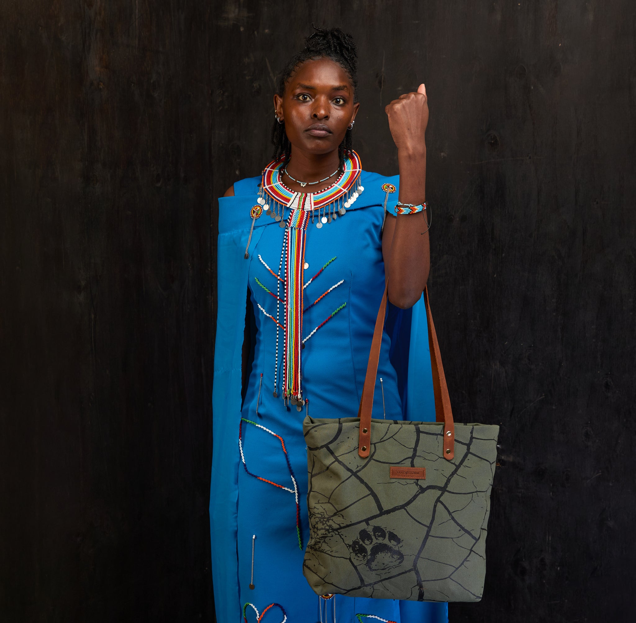 Dorothy tote x Lion Guardian (Journey)